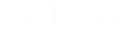 LedsC4